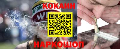 гашик Кингисепп