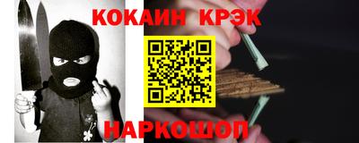 гашик Кингисепп