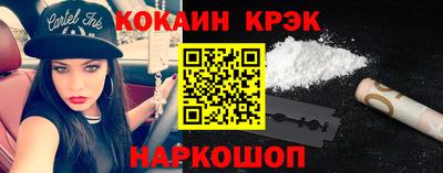 гашик Кингисепп