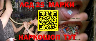 стафф Кимры