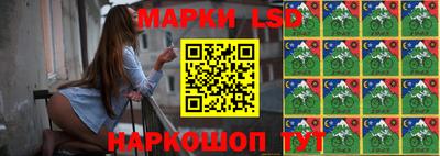 гашик Кингисепп