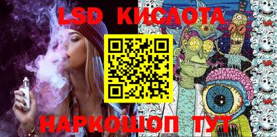 гашик Кингисепп