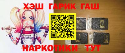 гашик Кингисепп