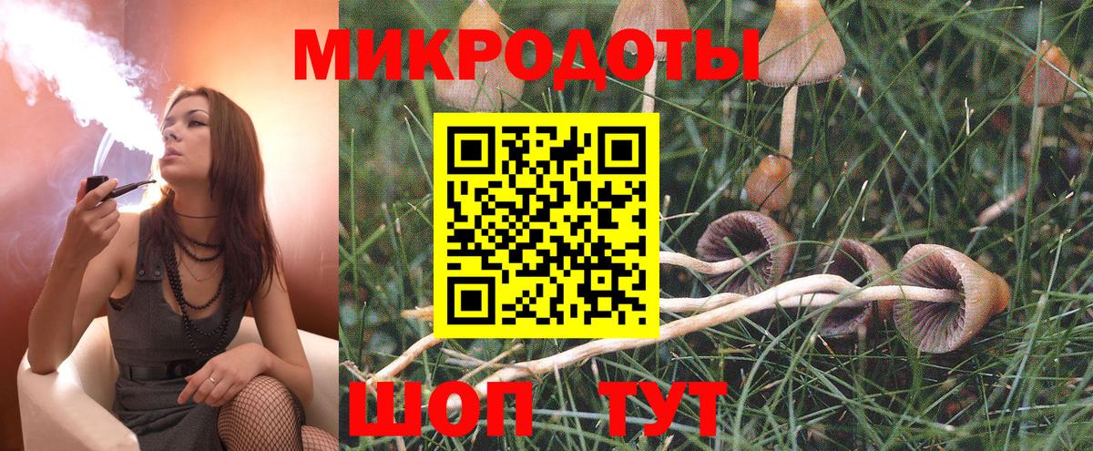 Псилоцибиновые грибы мицелий Фролово