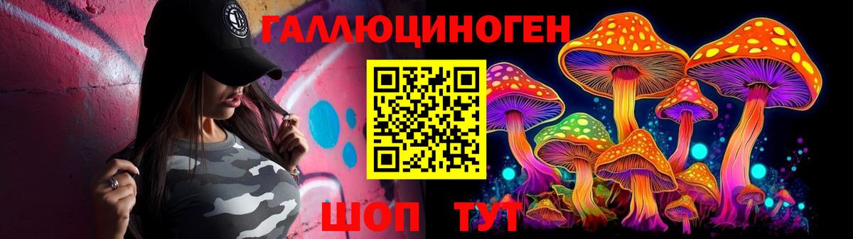 Фролово  хочу   Вход с VPN  Галлюциногенные грибы Cubensis 